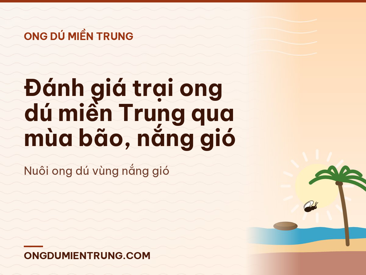 Đánh giá trại ong dú miền Trung qua mùa bão, nắng gió