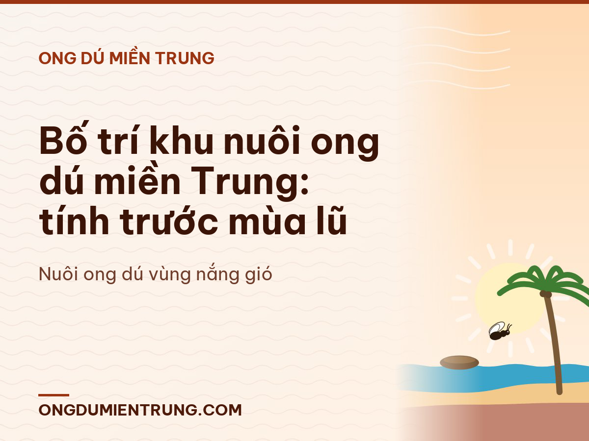 Bố trí khu nuôi ong dú miền Trung: tính trước mùa lũ
