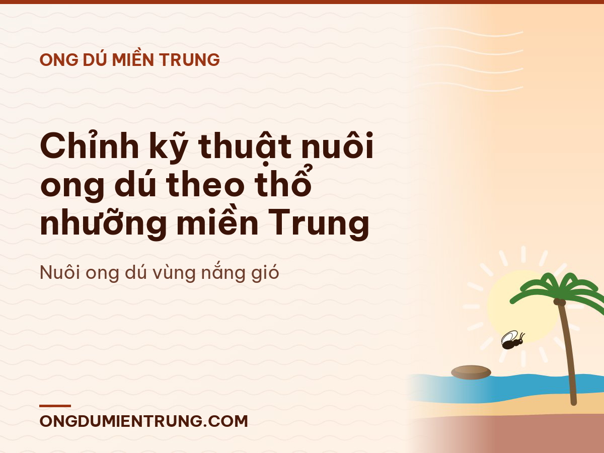 Chỉnh kỹ thuật nuôi ong dú theo thổ nhưỡng miền Trung