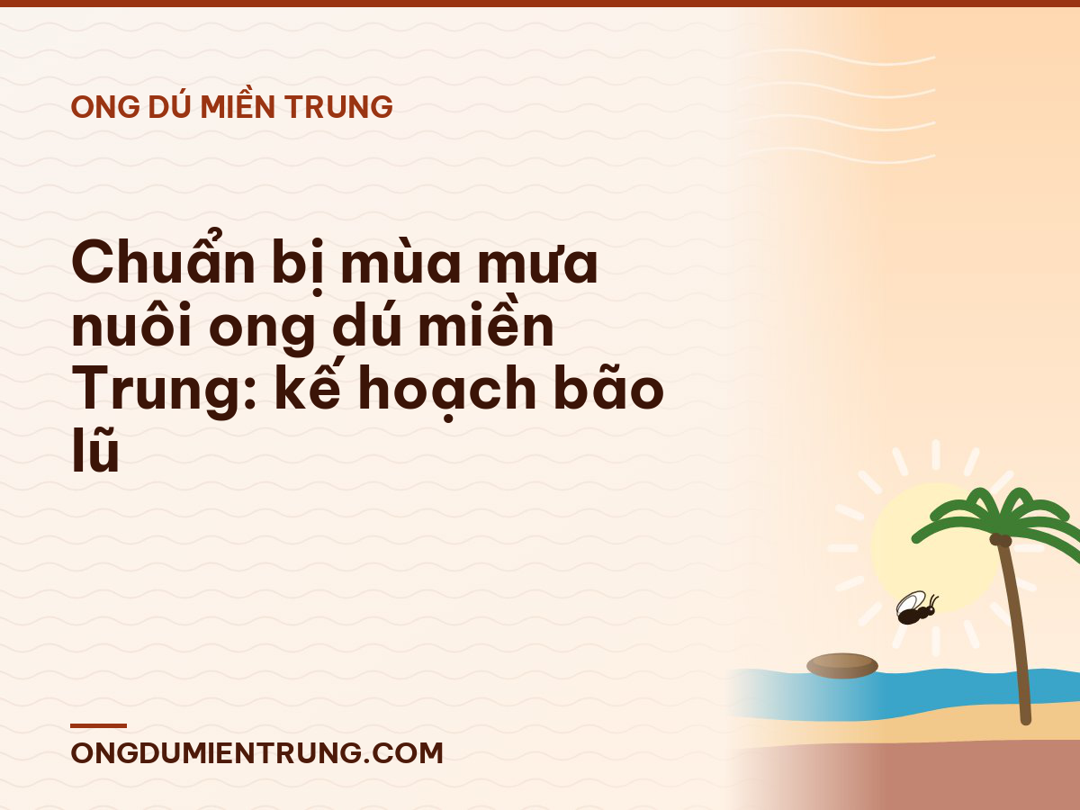 Chuẩn bị mùa mưa nuôi ong dú miền Trung: kế hoạch bão lũ
