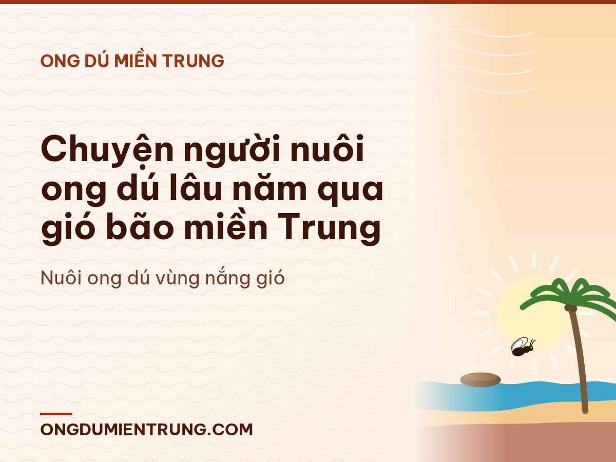 Chuyện người nuôi ong dú lâu năm qua gió bão miền Trung