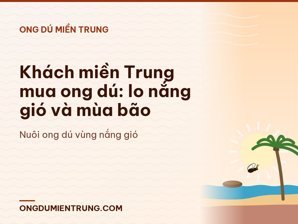 Khách miền Trung mua ong dú: lo nắng gió và mùa bão
