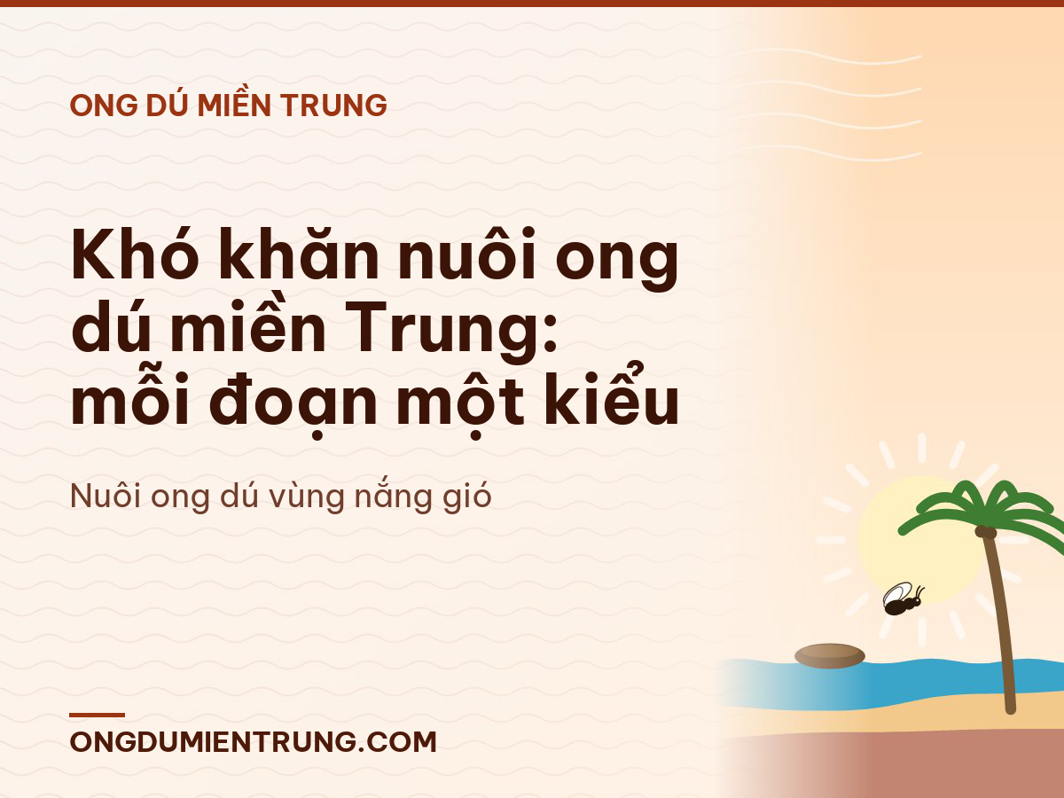 Khó khăn nuôi ong dú miền Trung: mỗi đoạn một kiểu