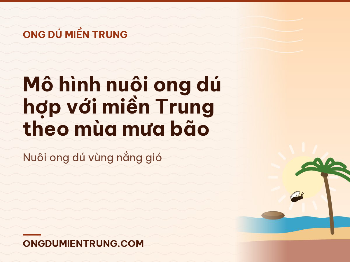 Mô hình nuôi ong dú hợp với miền Trung theo mùa mưa bão