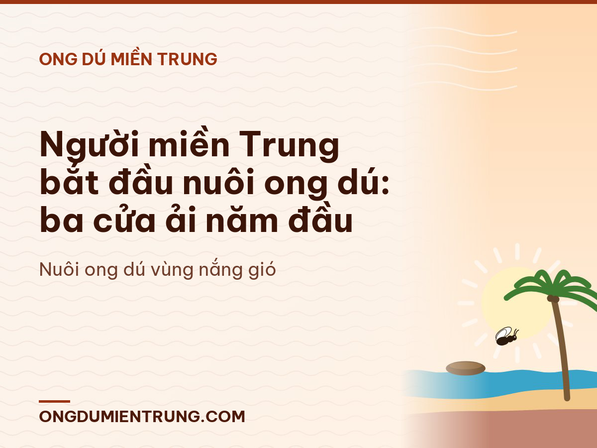 Người miền Trung bắt đầu nuôi ong dú: ba cửa ải năm đầu