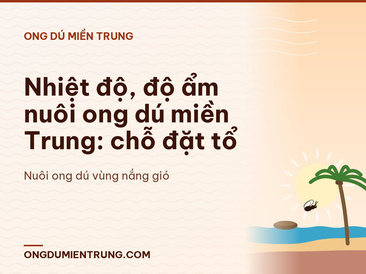 Nhiệt độ, độ ẩm nuôi ong dú miền Trung: chỗ đặt tổ