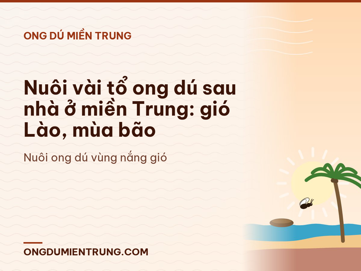 Nuôi vài tổ ong dú sau nhà ở miền Trung: gió Lào, mùa bão
