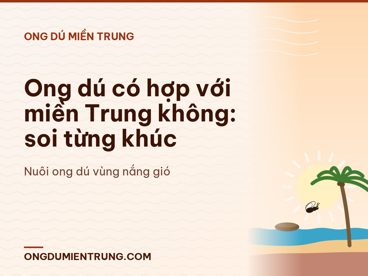 Ong dú có hợp với miền Trung không: soi từng khúc