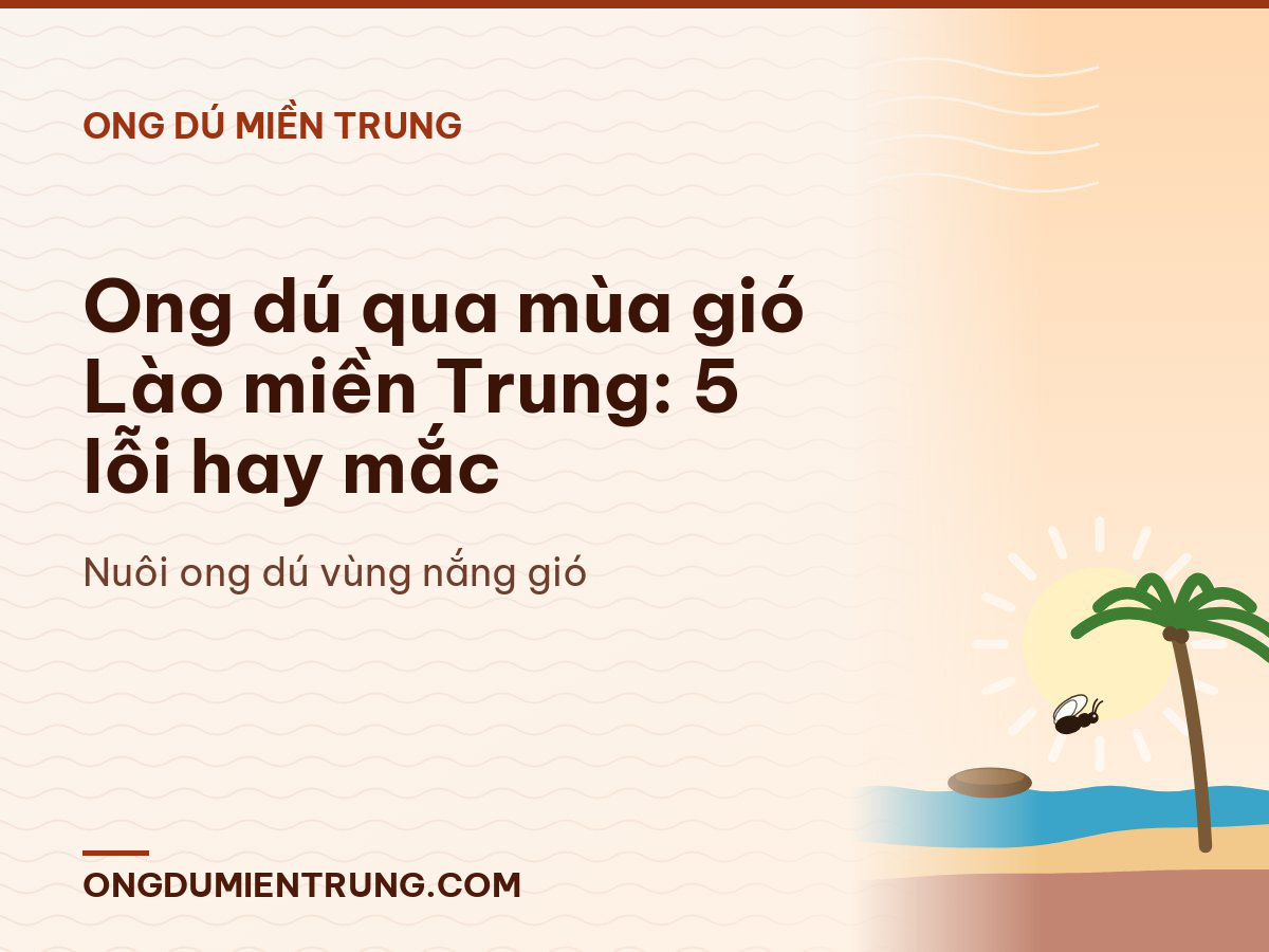 Ong dú qua mùa gió Lào miền Trung: 5 lỗi hay mắc