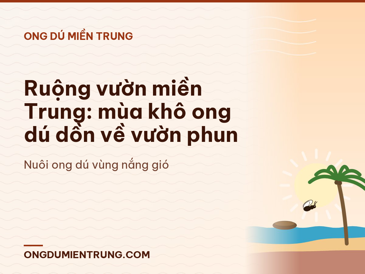 Ruộng vườn miền Trung: mùa khô ong dú dồn về vườn phun