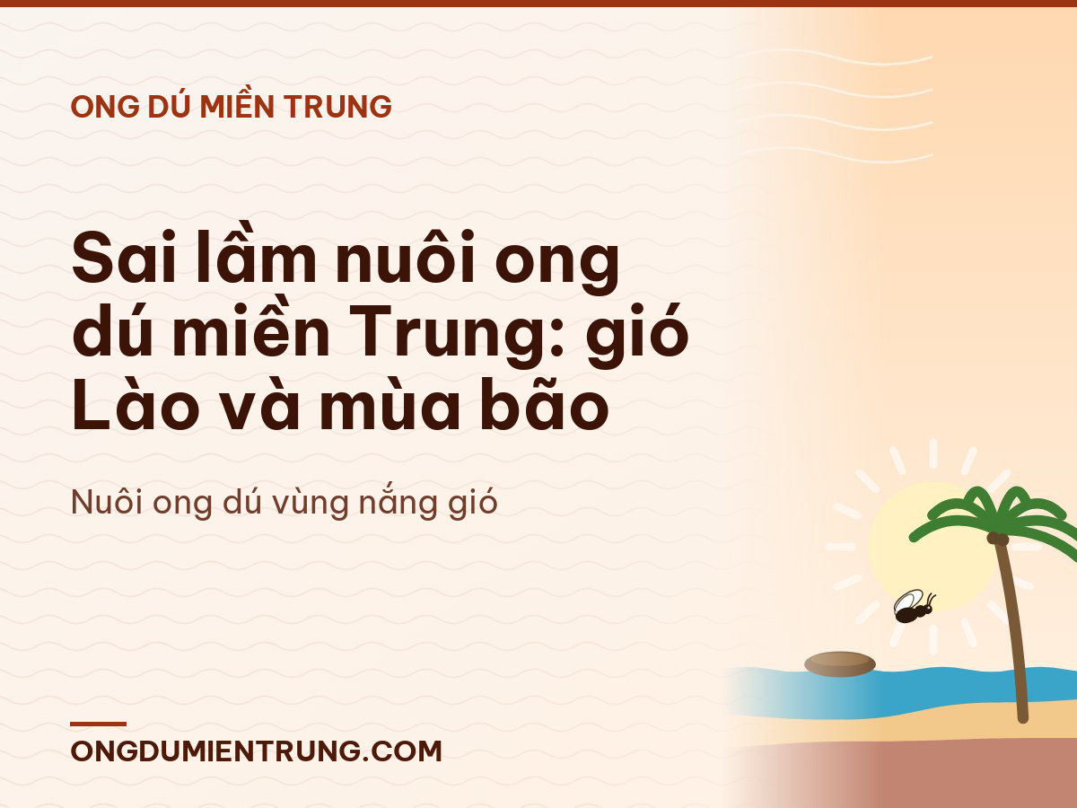 Sai lầm nuôi ong dú miền Trung: gió Lào và mùa bão