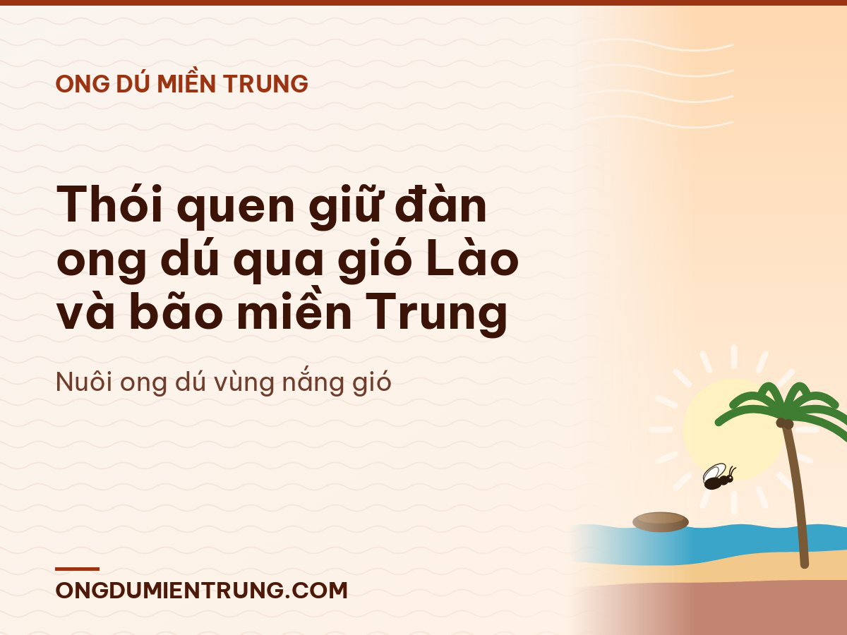 Thói quen giữ đàn ong dú qua gió Lào và bão miền Trung