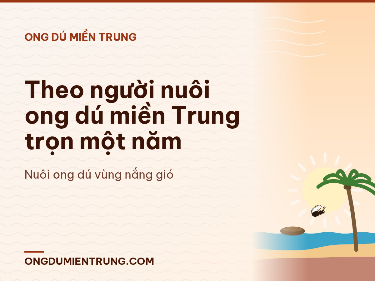 Theo người nuôi ong dú miền Trung trọn một năm
