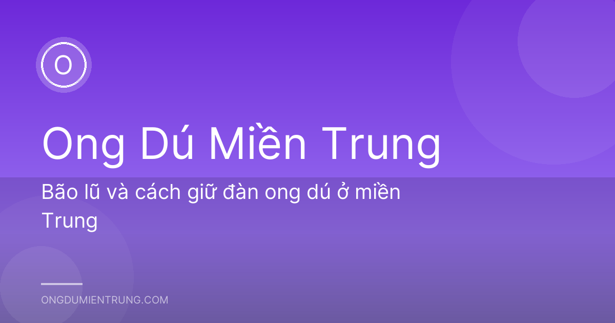 Bão lũ và cách giữ đàn ong dú ở miền Trung