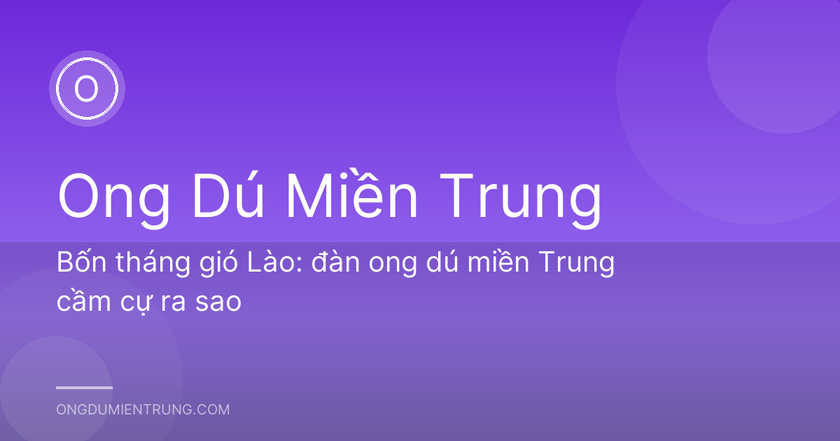 Bốn tháng gió Lào: đàn ong dú miền Trung cầm cự ra sao