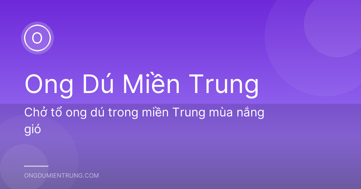 Chở tổ ong dú trong miền Trung mùa nắng gió