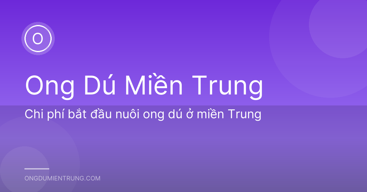 Chi phí bắt đầu nuôi ong dú ở miền Trung