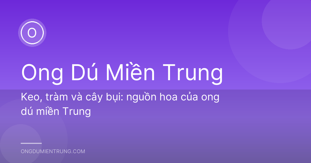 Keo, tràm và cây bụi: nguồn hoa của ong dú miền Trung