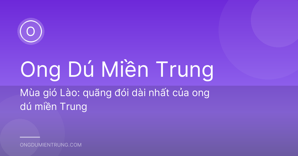 Mùa gió Lào: quãng đói dài nhất của ong dú miền Trung