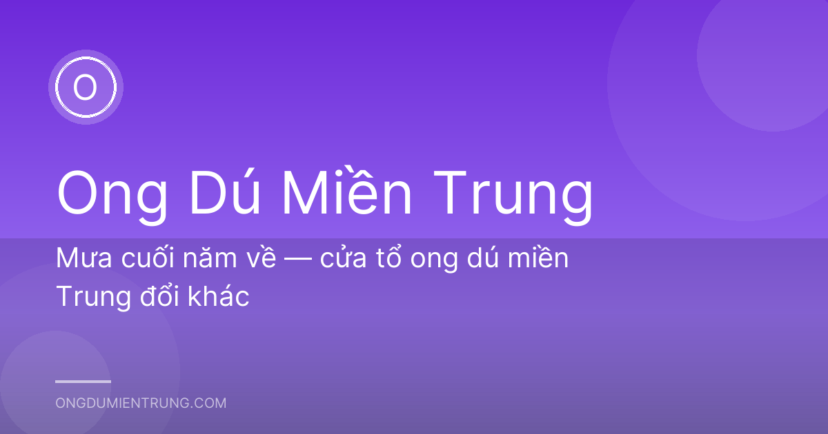 Mưa cuối năm về — cửa tổ ong dú miền Trung đổi khác