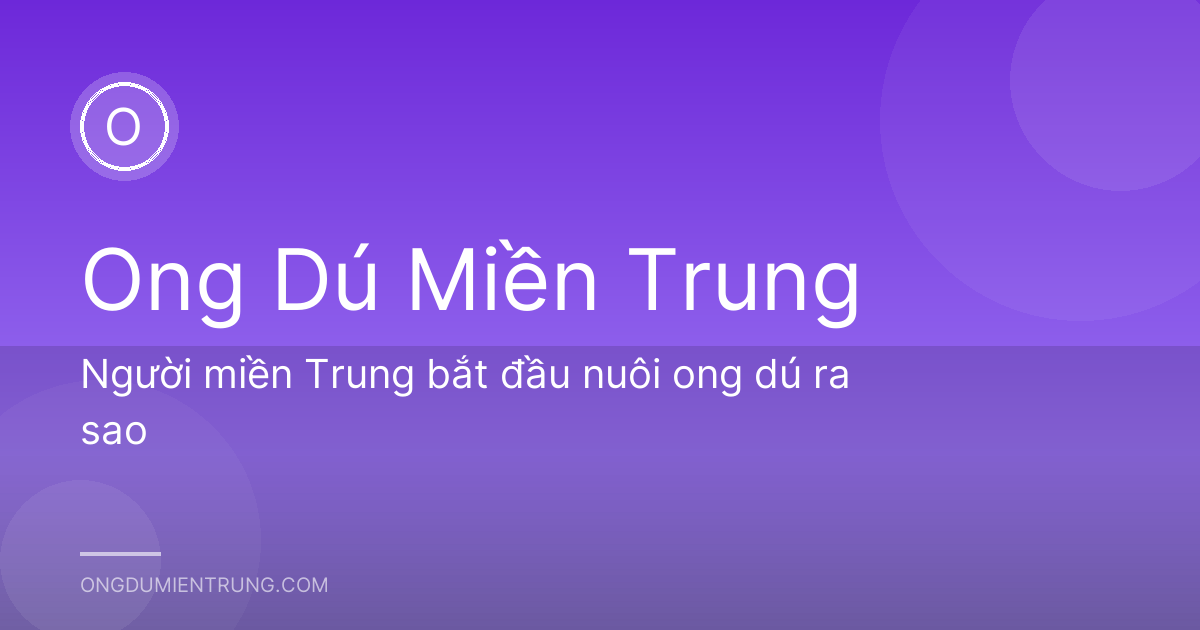 Người miền Trung bắt đầu nuôi ong dú ra sao