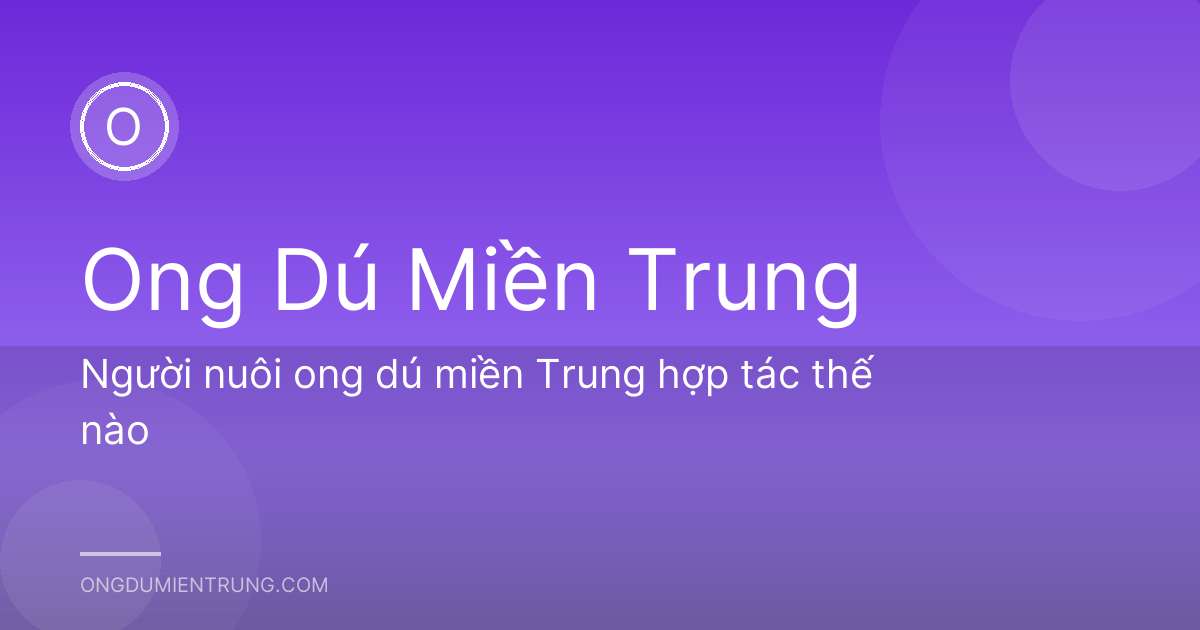 Người nuôi ong dú miền Trung hợp tác thế nào