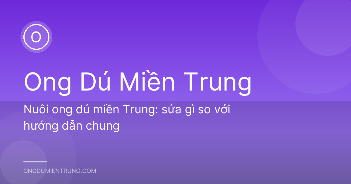 Nuôi ong dú miền Trung: sửa gì so với hướng dẫn chung