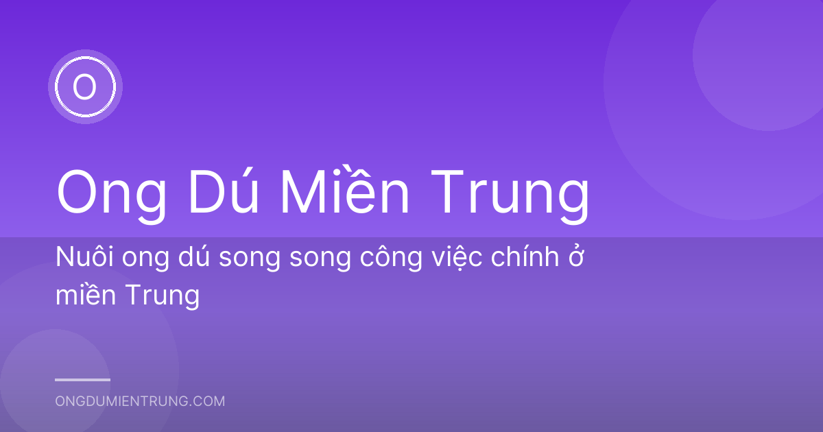 Nuôi ong dú song song công việc chính ở miền Trung