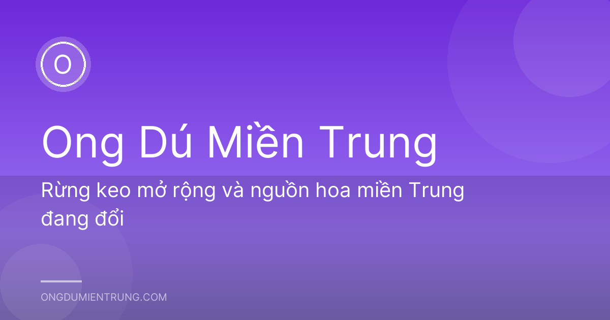 Rừng keo mở rộng và nguồn hoa miền Trung đang đổi