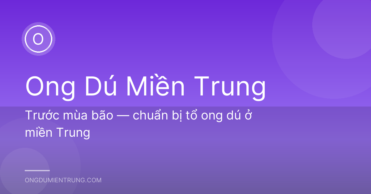 Trước mùa bão — chuẩn bị tổ ong dú ở miền Trung